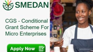 Read more about the article Apply: SMEDAN N50000 Grant for Micro-enterprises 2025