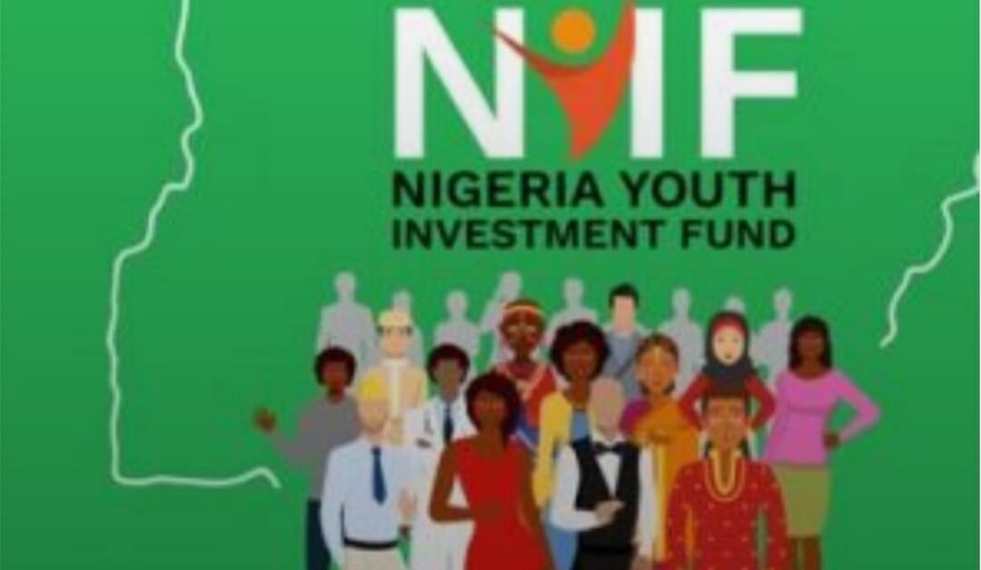How to apply for Nigeria Youth Investment Fund(NIYF) 2026 :Application Guide,Requirements and Eligibility 20260301_172204